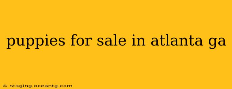 puppies for sale in atlanta ga