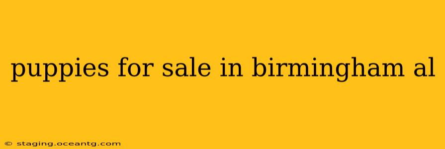 puppies for sale in birmingham al