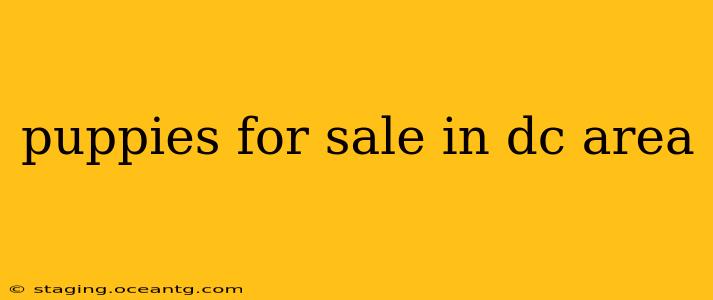 puppies for sale in dc area