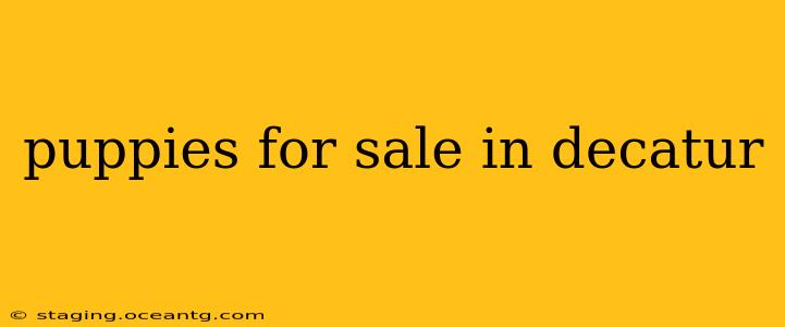 puppies for sale in decatur