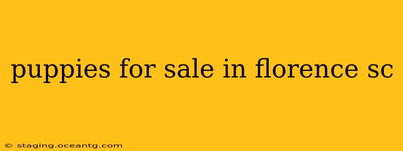 puppies for sale in florence sc