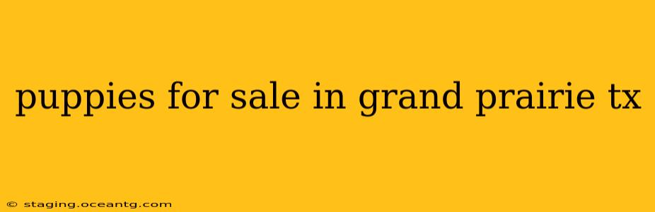 puppies for sale in grand prairie tx