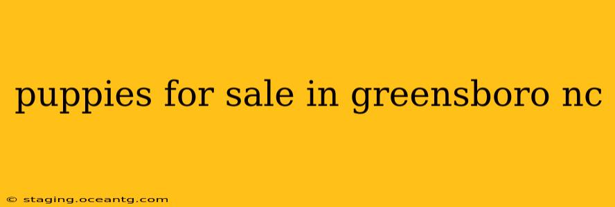 puppies for sale in greensboro nc