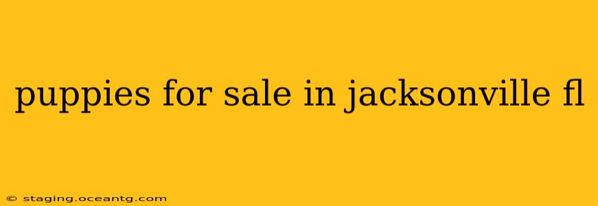 puppies for sale in jacksonville fl