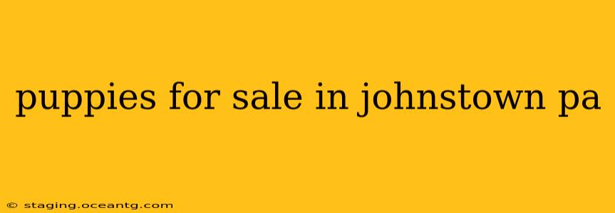 puppies for sale in johnstown pa