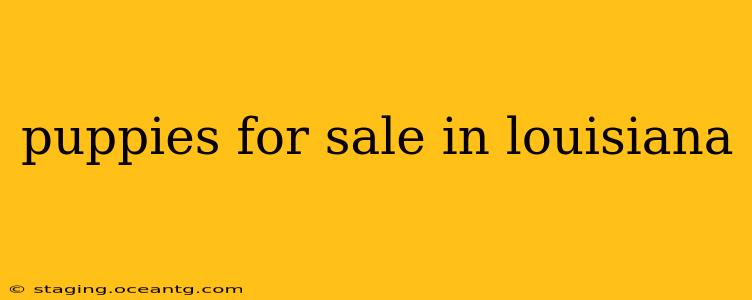 puppies for sale in louisiana