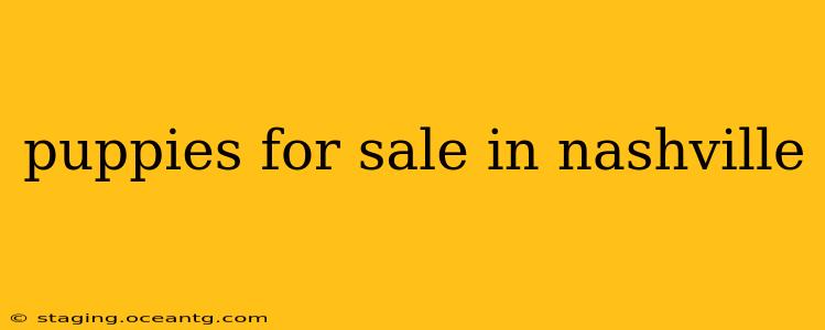 puppies for sale in nashville
