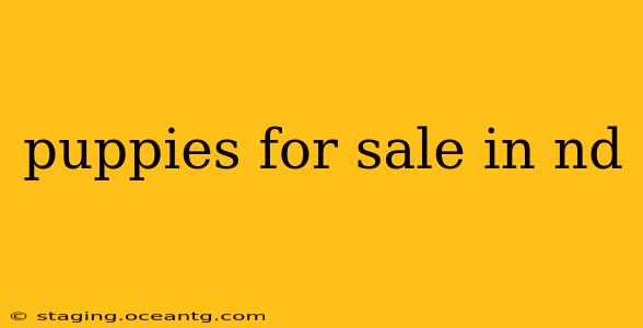puppies for sale in nd