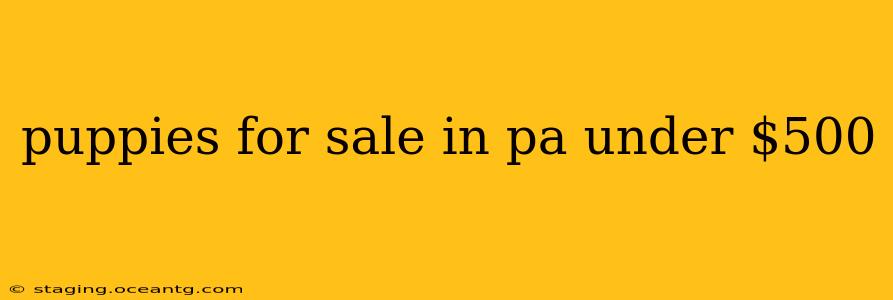 puppies for sale in pa under $500