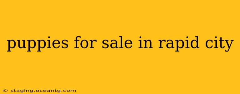 puppies for sale in rapid city