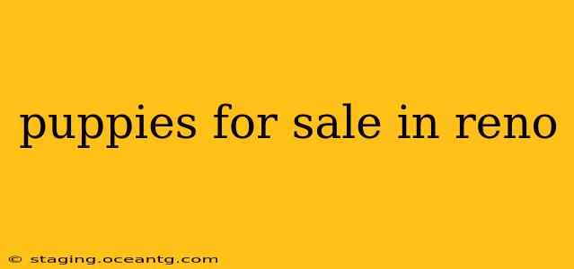 puppies for sale in reno