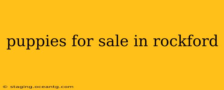 puppies for sale in rockford