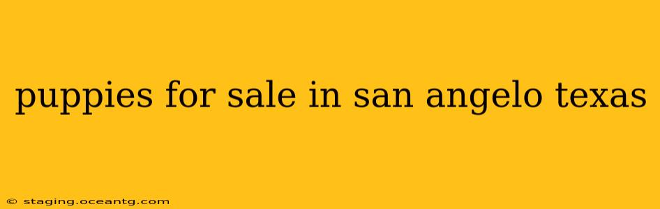 puppies for sale in san angelo texas
