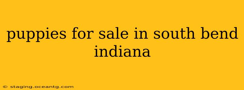puppies for sale in south bend indiana