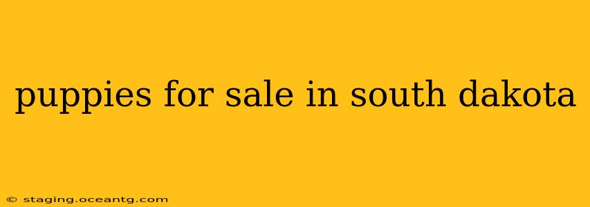 puppies for sale in south dakota