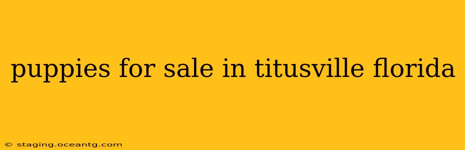 puppies for sale in titusville florida