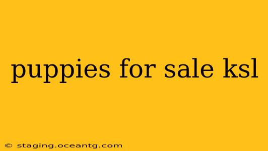 puppies for sale ksl