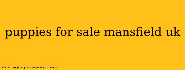 puppies for sale mansfield uk