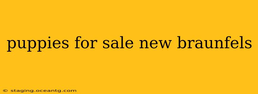 puppies for sale new braunfels
