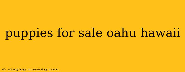 puppies for sale oahu hawaii