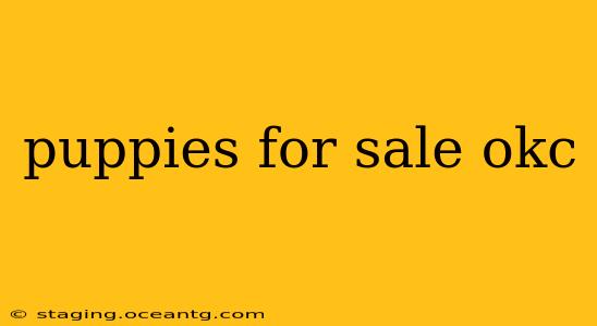 puppies for sale okc