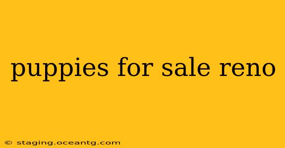 puppies for sale reno