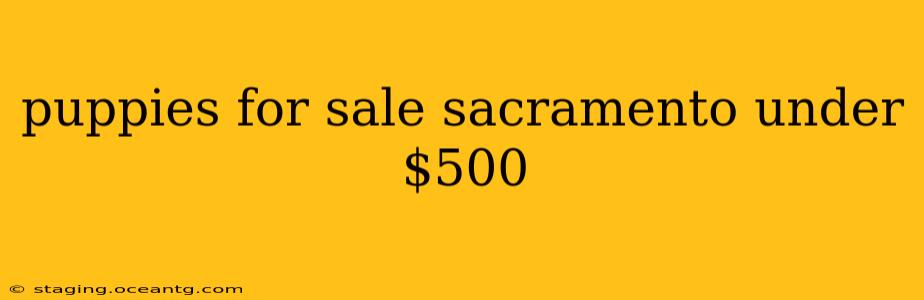 puppies for sale sacramento under $500