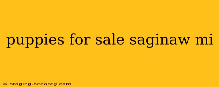 puppies for sale saginaw mi