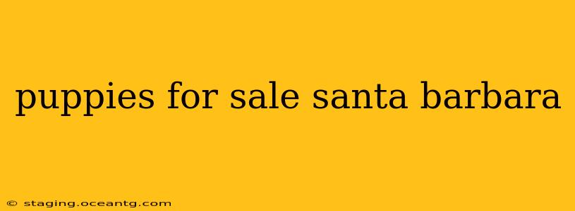 puppies for sale santa barbara