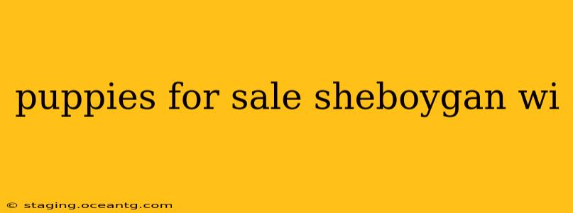 puppies for sale sheboygan wi