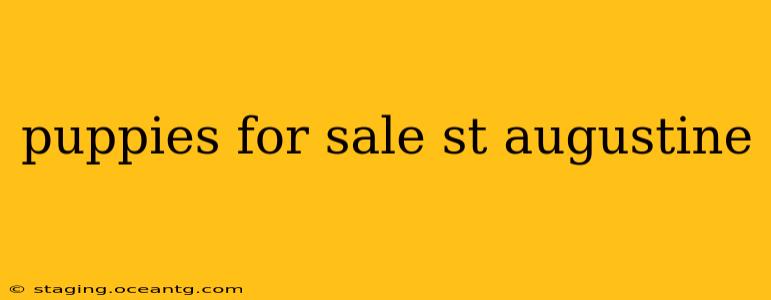 puppies for sale st augustine