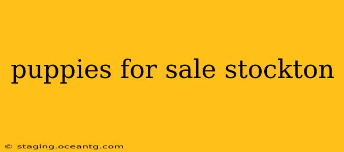 puppies for sale stockton