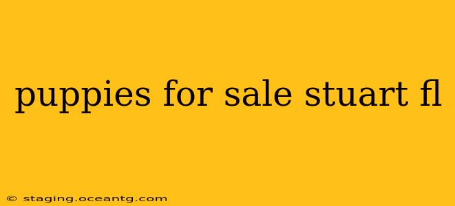 puppies for sale stuart fl