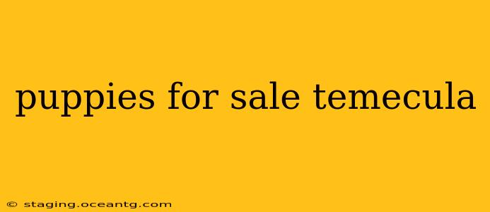 puppies for sale temecula