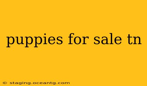 puppies for sale tn