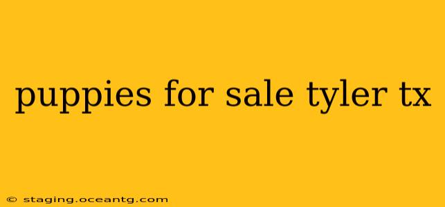 puppies for sale tyler tx