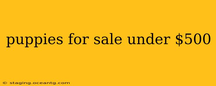 puppies for sale under $500