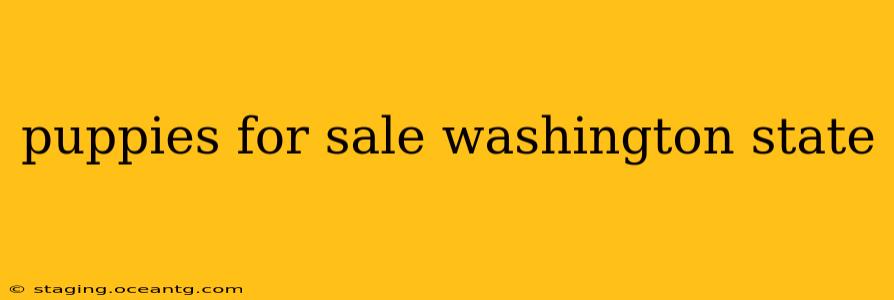 puppies for sale washington state