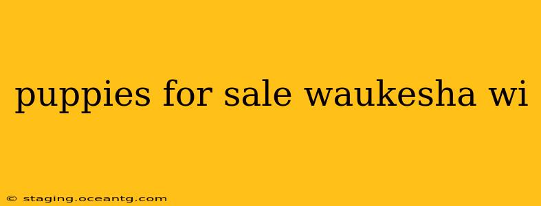 puppies for sale waukesha wi
