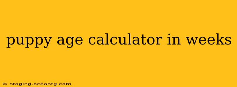 puppy age calculator in weeks