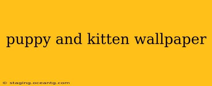 puppy and kitten wallpaper