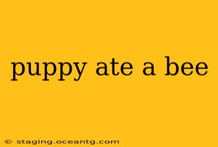 puppy ate a bee