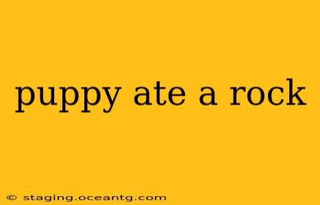 puppy ate a rock