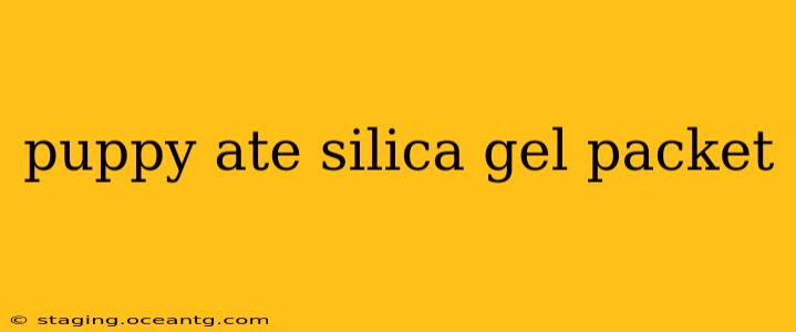 puppy ate silica gel packet