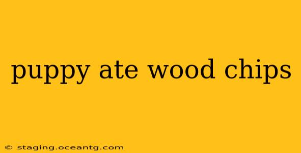 puppy ate wood chips