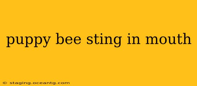 puppy bee sting in mouth