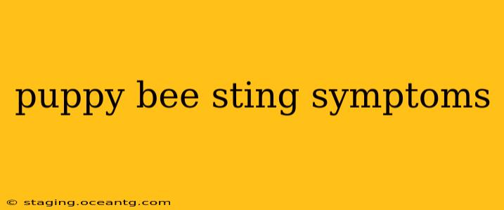 puppy bee sting symptoms