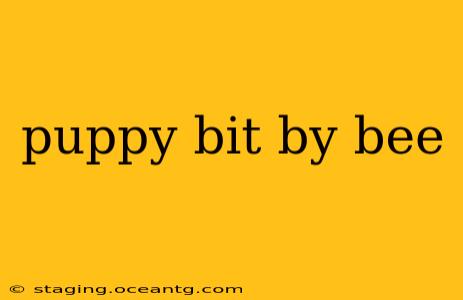 puppy bit by bee