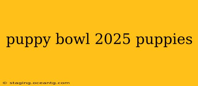puppy bowl 2025 puppies