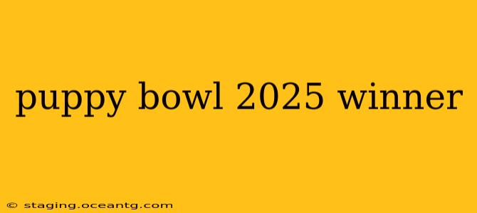 puppy bowl 2025 winner